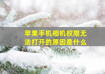 苹果手机相机权限无法打开的原因是什么