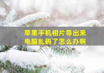 苹果手机相片导出来电脑乱码了怎么办啊