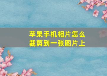 苹果手机相片怎么裁剪到一张图片上