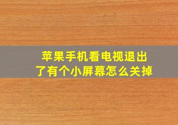 苹果手机看电视退出了有个小屏幕怎么关掉