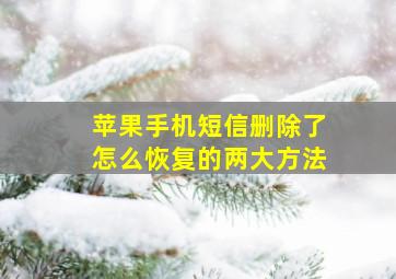 苹果手机短信删除了怎么恢复的两大方法