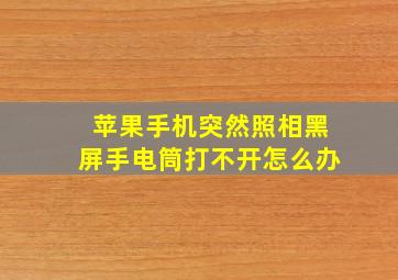 苹果手机突然照相黑屏手电筒打不开怎么办