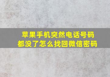 苹果手机突然电话号码都没了怎么找回微信密码