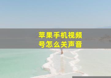 苹果手机视频号怎么关声音