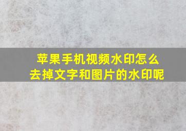 苹果手机视频水印怎么去掉文字和图片的水印呢