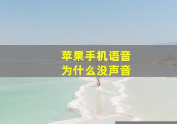 苹果手机语音为什么没声音