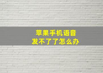 苹果手机语音发不了了怎么办