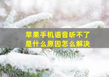 苹果手机语音听不了是什么原因怎么解决