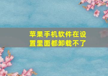 苹果手机软件在设置里面都卸载不了