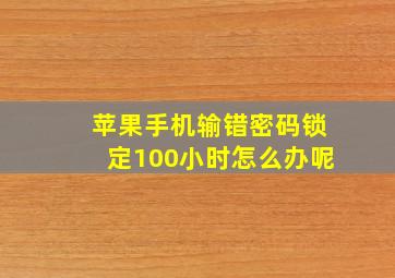 苹果手机输错密码锁定100小时怎么办呢