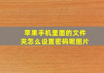 苹果手机里面的文件夹怎么设置密码呢图片