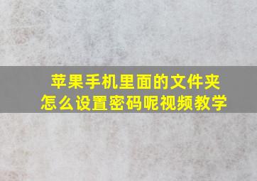 苹果手机里面的文件夹怎么设置密码呢视频教学