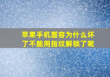 苹果手机面容为什么坏了不能用指纹解锁了呢