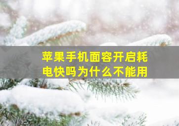 苹果手机面容开启耗电快吗为什么不能用