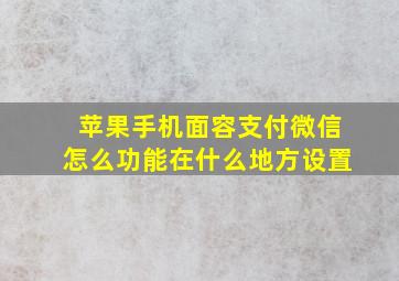 苹果手机面容支付微信怎么功能在什么地方设置