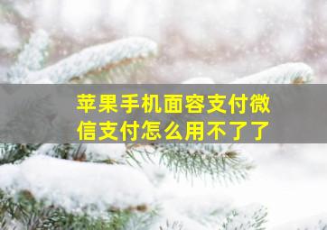 苹果手机面容支付微信支付怎么用不了了