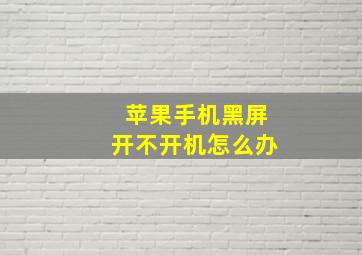 苹果手机黑屏开不开机怎么办