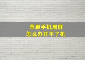 苹果手机黑屏怎么办开不了机