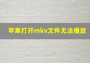 苹果打开mkv文件无法播放