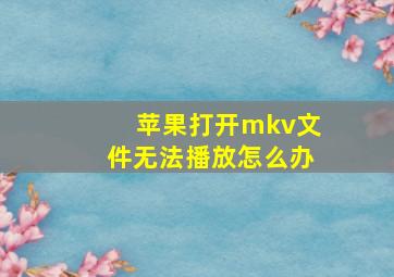 苹果打开mkv文件无法播放怎么办