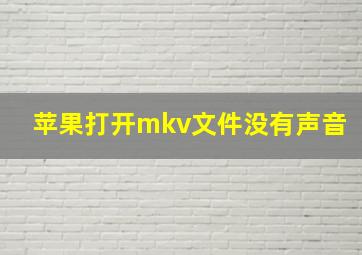 苹果打开mkv文件没有声音