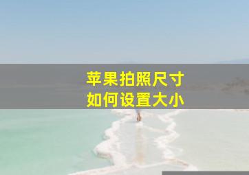 苹果拍照尺寸如何设置大小