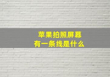 苹果拍照屏幕有一条线是什么