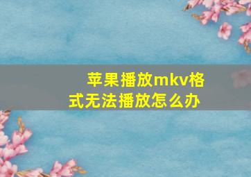 苹果播放mkv格式无法播放怎么办