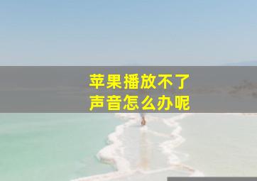 苹果播放不了声音怎么办呢