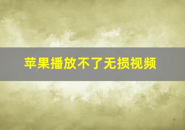 苹果播放不了无损视频