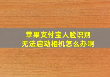 苹果支付宝人脸识别无法启动相机怎么办啊