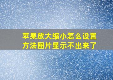 苹果放大缩小怎么设置方法图片显示不出来了