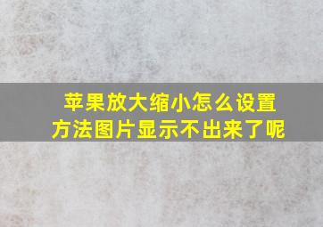 苹果放大缩小怎么设置方法图片显示不出来了呢