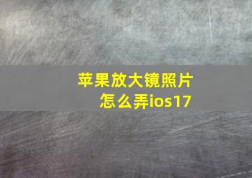 苹果放大镜照片怎么弄ios17