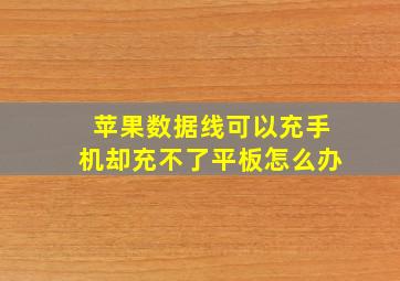 苹果数据线可以充手机却充不了平板怎么办