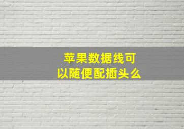 苹果数据线可以随便配插头么