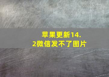 苹果更新14.2微信发不了图片