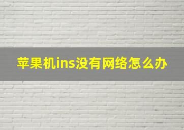 苹果机ins没有网络怎么办