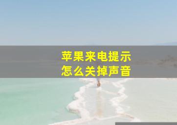 苹果来电提示怎么关掉声音