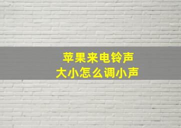 苹果来电铃声大小怎么调小声