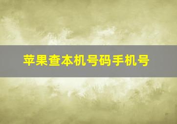 苹果查本机号码手机号