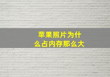 苹果照片为什么占内存那么大