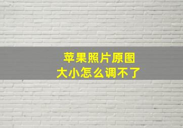 苹果照片原图大小怎么调不了