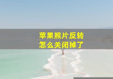 苹果照片反转怎么关闭掉了