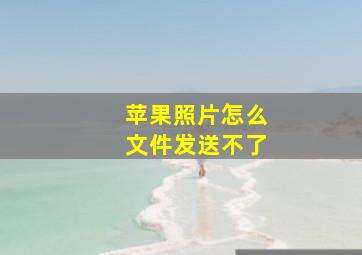 苹果照片怎么文件发送不了