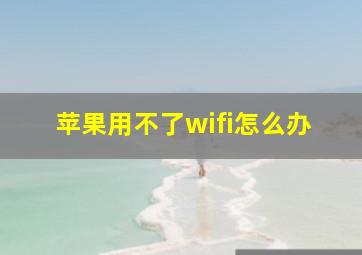 苹果用不了wifi怎么办