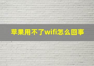 苹果用不了wifi怎么回事