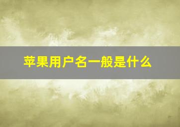 苹果用户名一般是什么