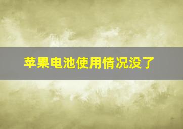 苹果电池使用情况没了