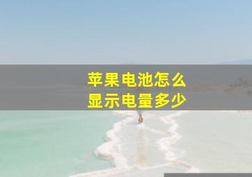 苹果电池怎么显示电量多少